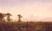 Albert Bierstadt Elk Grazing in the Wind River Country oil painting on canvas